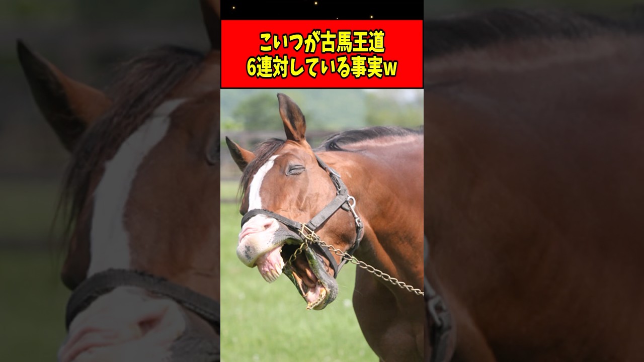 1757382036_maxresdefault-7581690-1388248-jpg