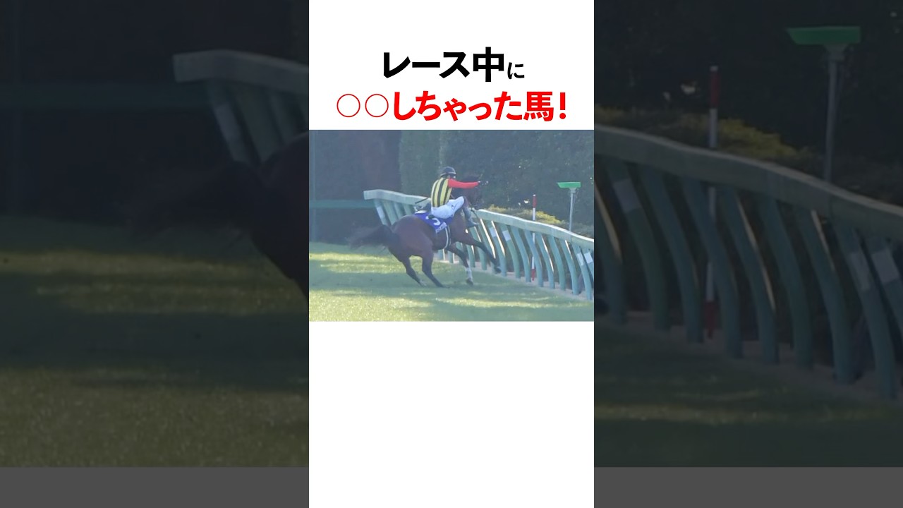 1759285519_maxresdefault-1602374-6868387-jpg