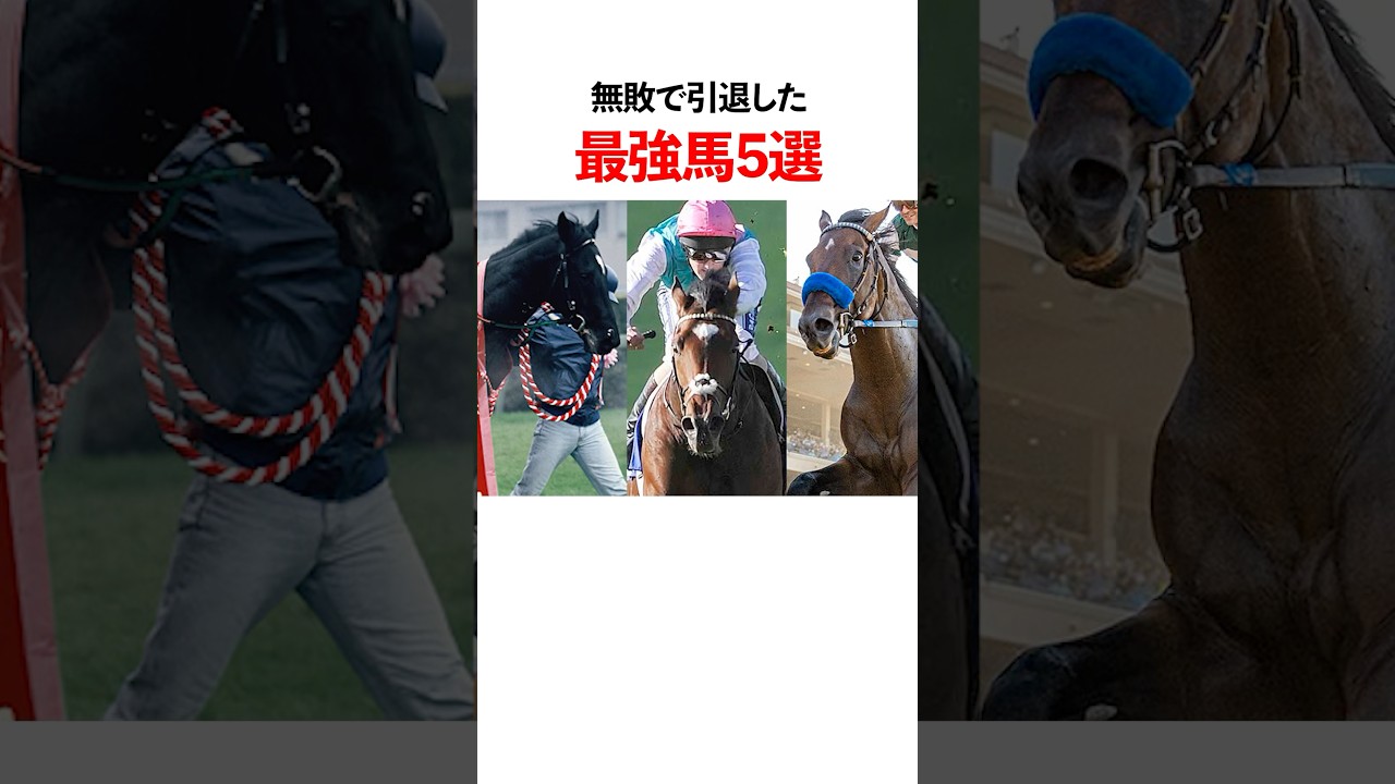 1760972651_maxresdefault-8605234-3172235-jpg