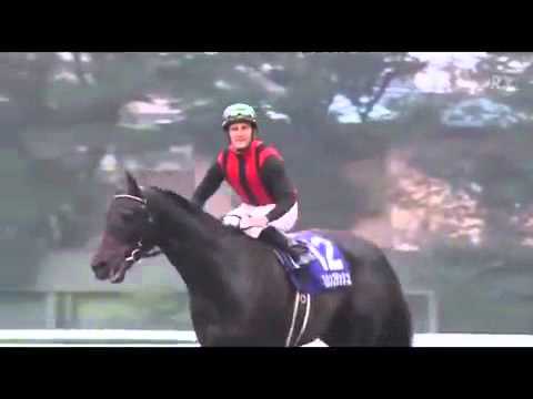 1762842852_hqdefault-7210301-8855186-jpg