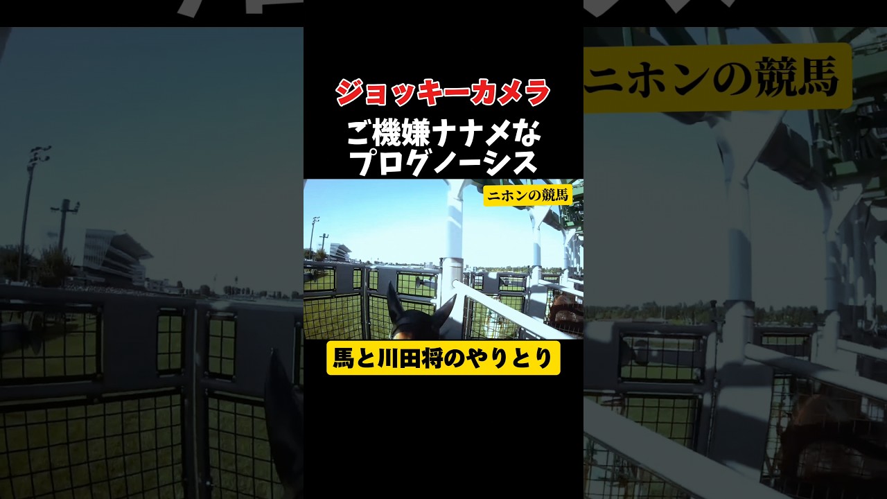 1763179031_maxresdefault-8209547-7319986-jpg