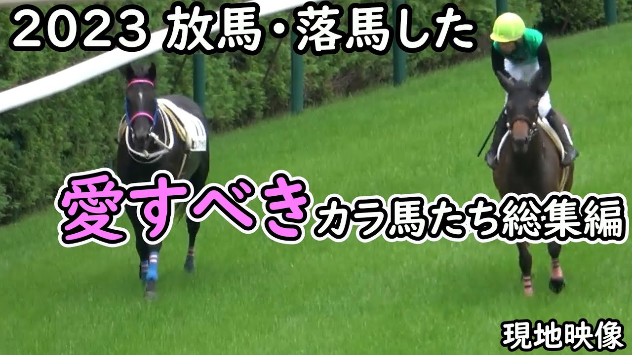 1763438620_maxresdefault-2081756-6449969-jpg