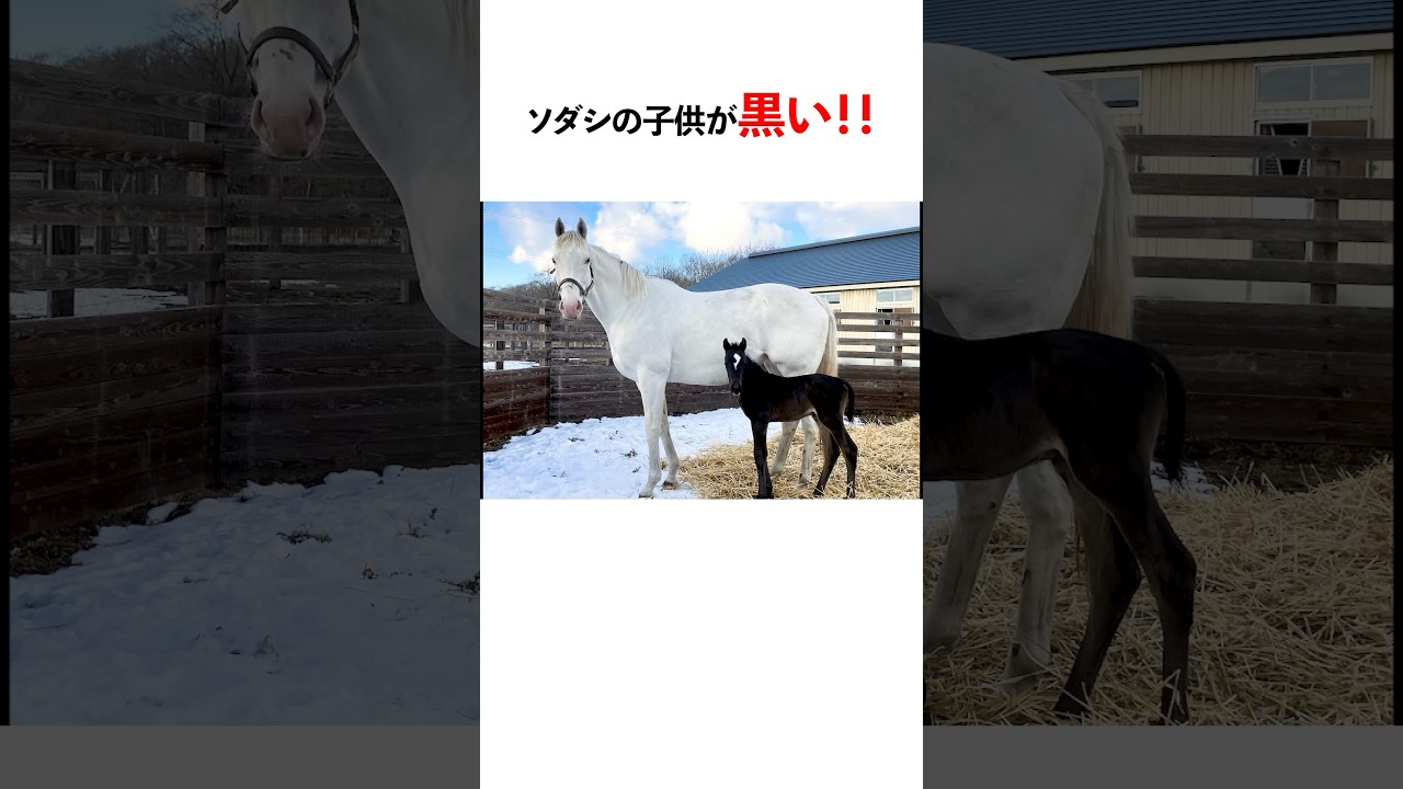 1763611659_maxresdefault-3003234-6333909-jpg