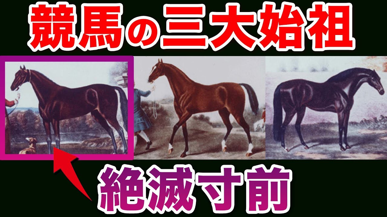 1763853008_maxresdefault-2119146-8386868-jpg