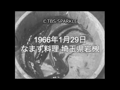 1764106629_hqdefault-9321739-5204878-jpg