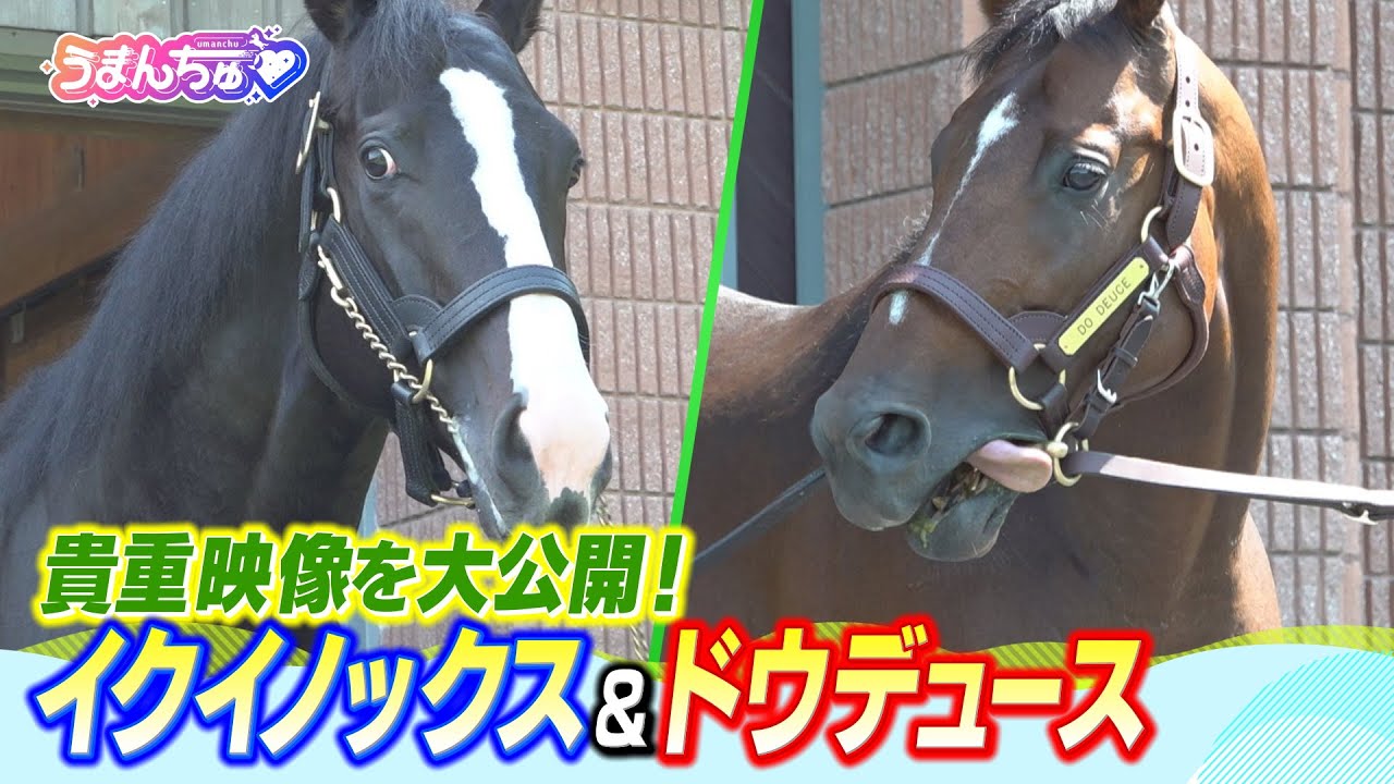 1764217356_maxresdefault-4923901-1478590-jpg