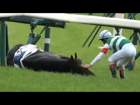 1764372488_hqdefault-5906649-5857980-jpg