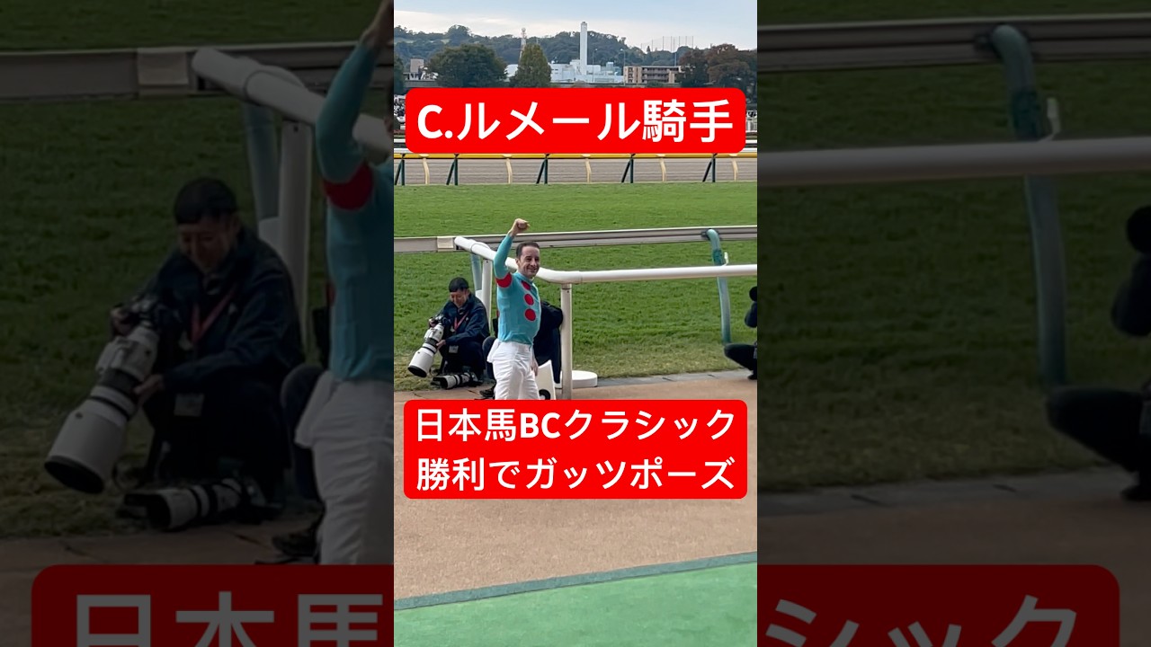 1764390368_maxresdefault-1313273-3859468-jpg