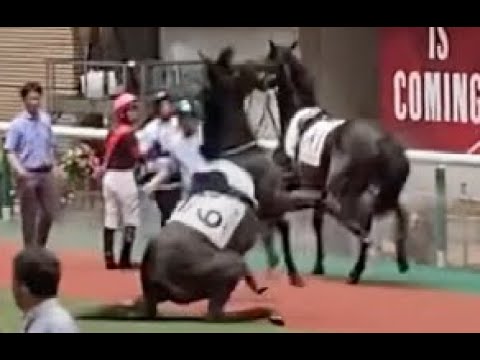 1764430209_hqdefault-9346537-9583743-jpg