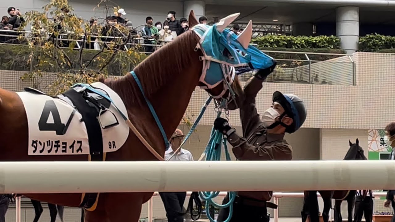 1764863094_maxresdefault-1513284-3011991-jpg