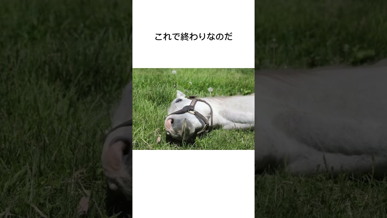 1765125778_maxresdefault-5374752-5872001-jpg