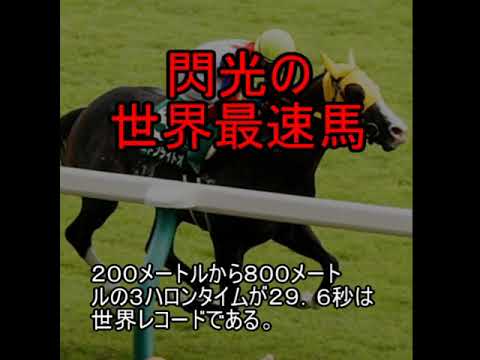 1765267181_hqdefault-9818574-2410752-jpg