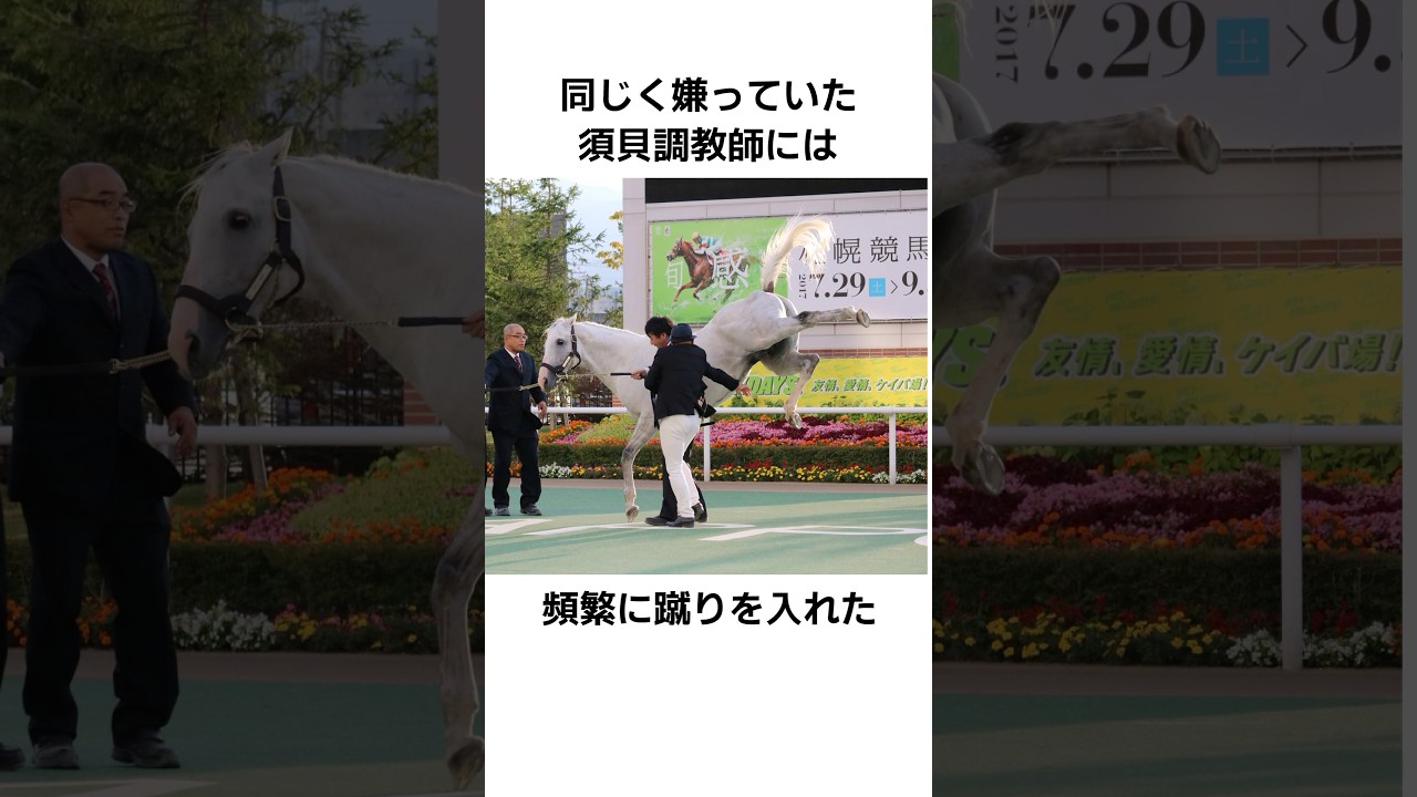 1765385434_maxresdefault-6830705-7659626-jpg