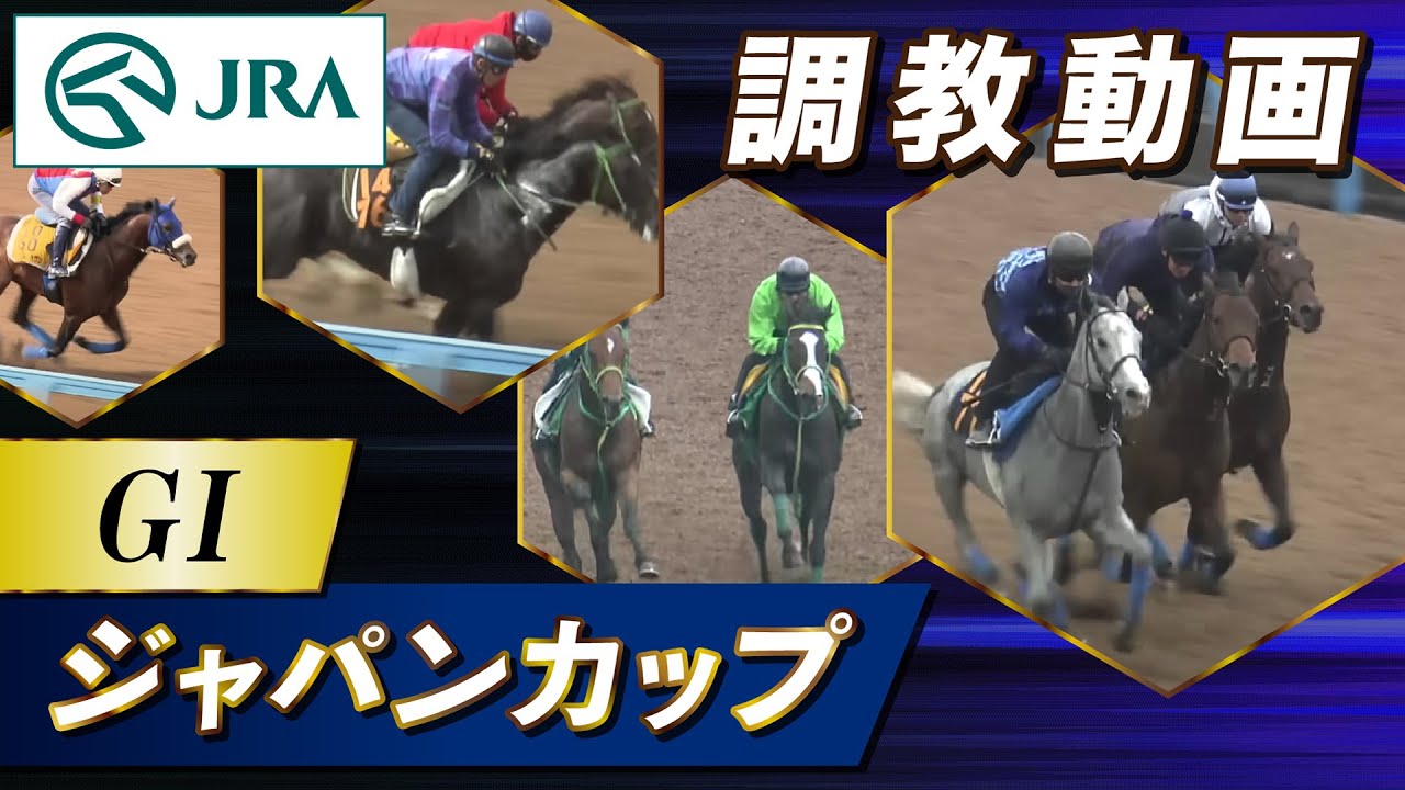 1765471990_maxresdefault-5835796-1374879-jpg