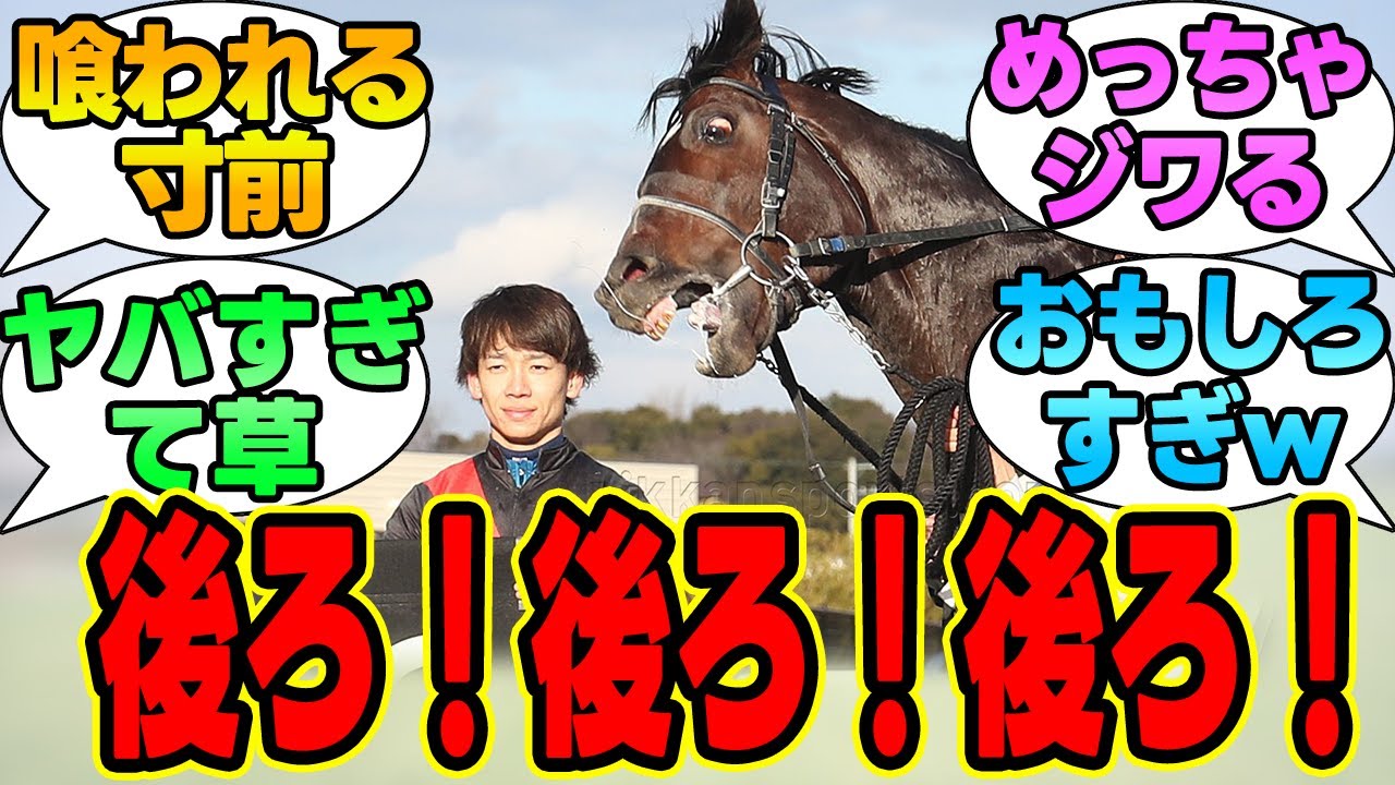 1765526954_maxresdefault-1004156-1844955-jpg