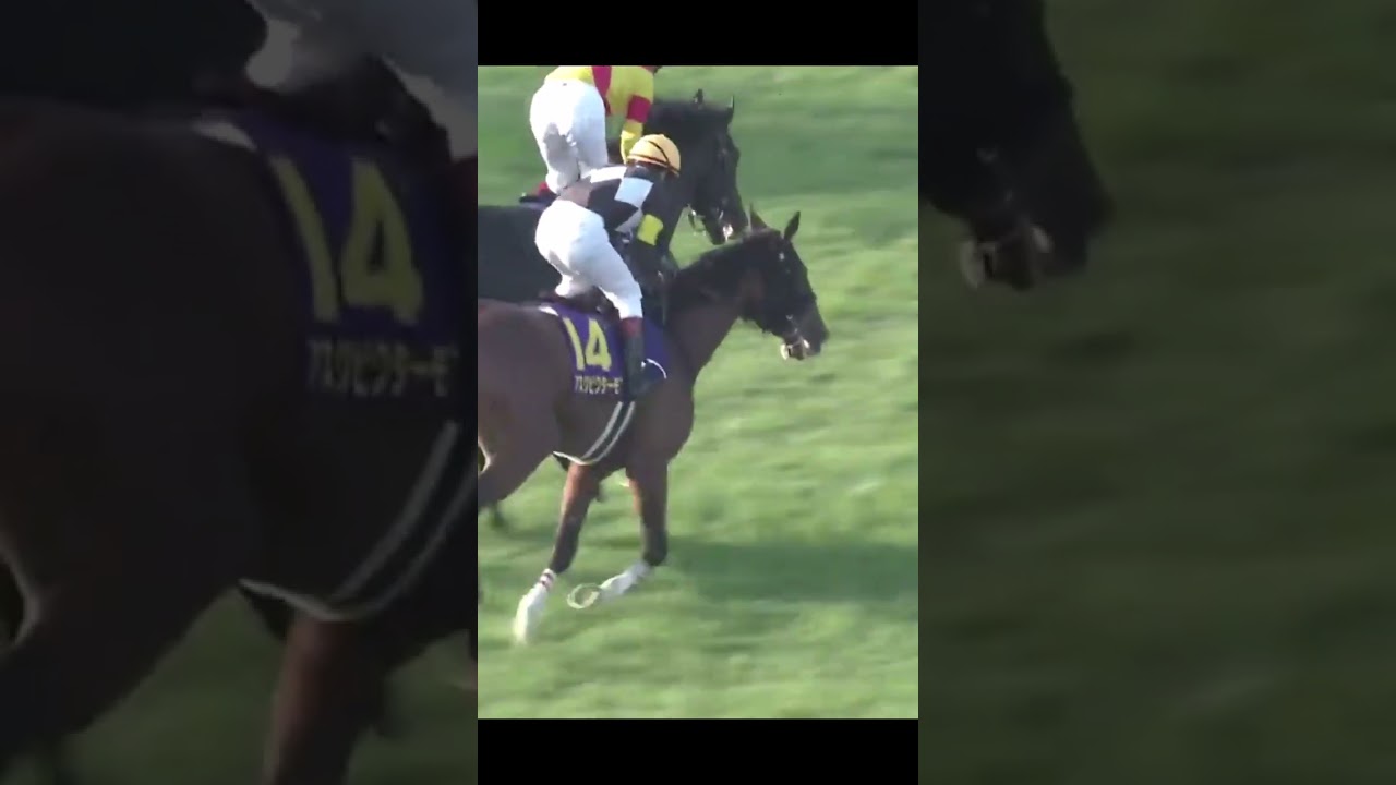 1765757831_maxresdefault-8740326-8454361-jpg