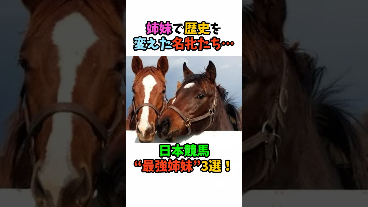 1765774870_maxresdefault-9119836-7363616-jpg