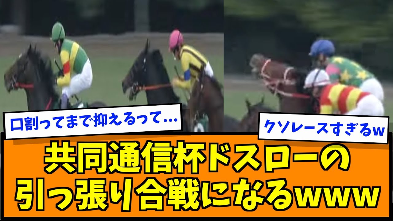 1765815574_maxresdefault-1640267-6004144-jpg