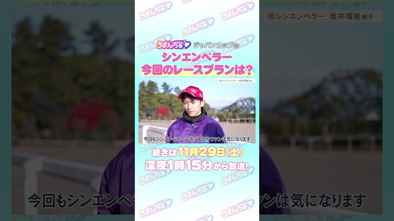 1766423888_maxresdefault-8638292-3836403-jpg