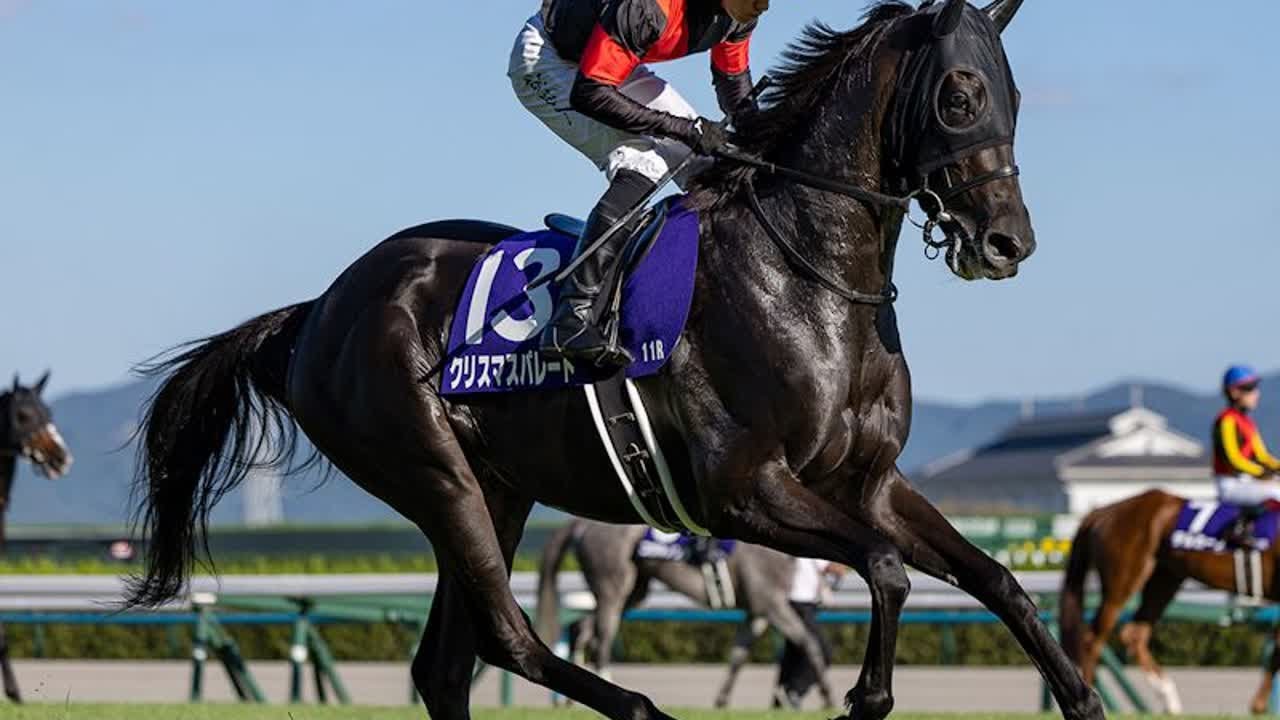 1766537174_maxresdefault-1588361-6923868-jpg