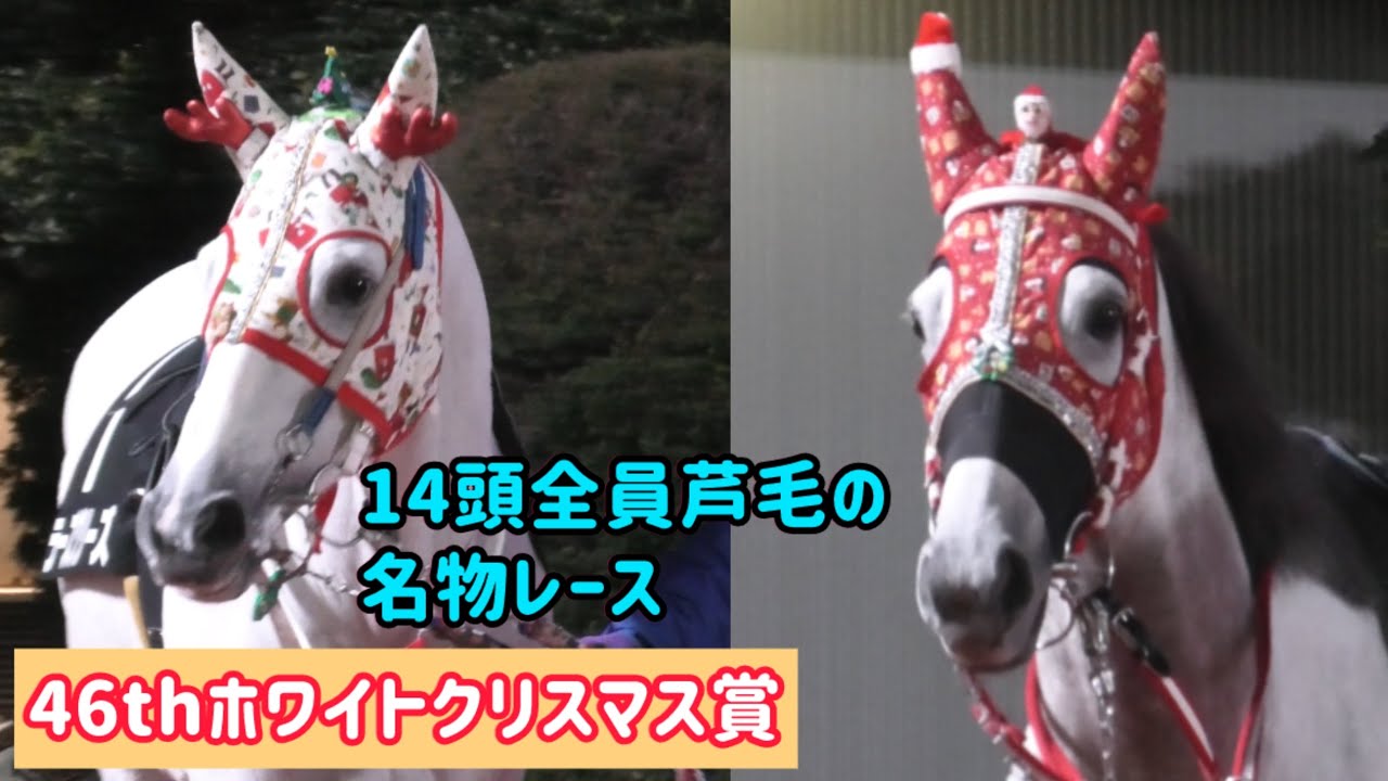 1766566022_maxresdefault-4732916-2173651-jpg