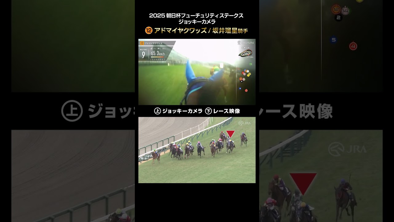 1766813206_maxresdefault-8932343-3437818-jpg