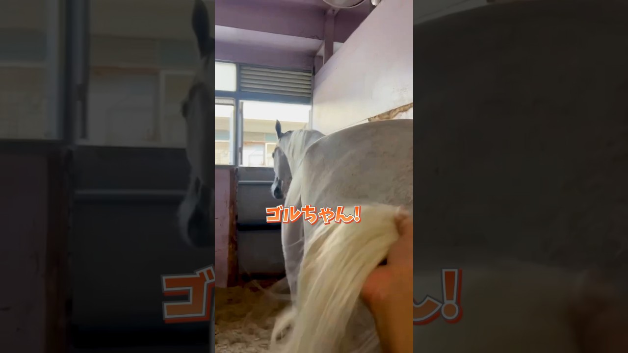 1766986261_maxresdefault-1315369-3729188-jpg