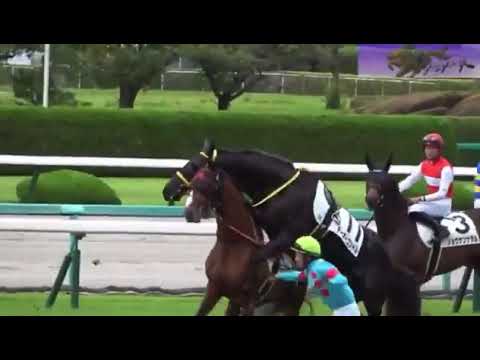 1767056795_hqdefault-8370253-3877980-jpg