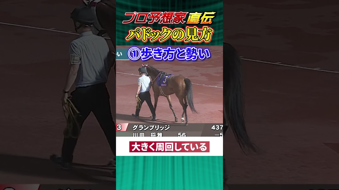 1767808248_maxresdefault-6406603-1516246-jpg