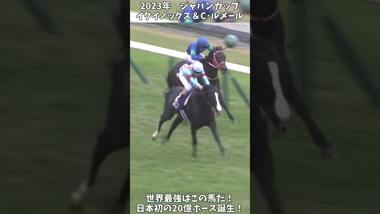 1767893869_maxresdefault-9878951-3158923-jpg