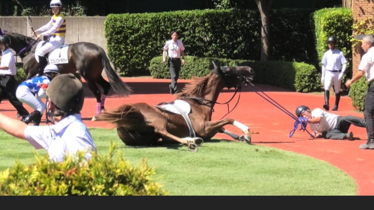 1768038109_maxresdefault-6934167-9607932-jpg