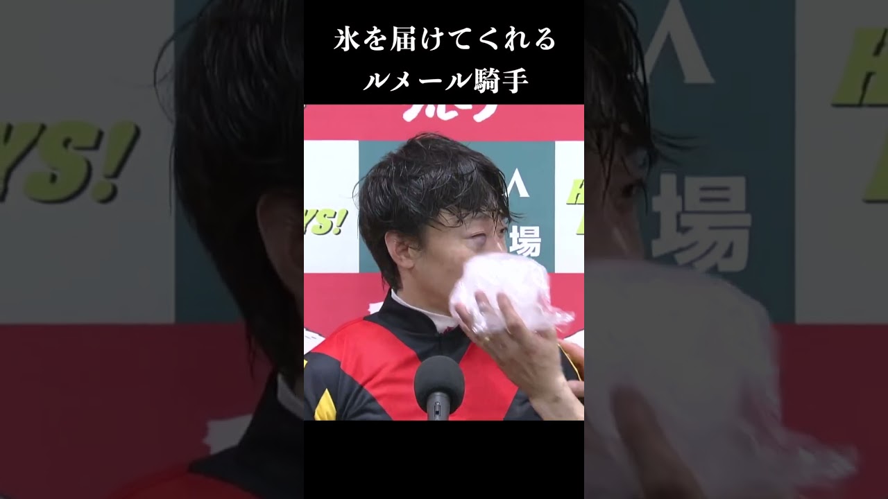 1768630314_maxresdefault-2903984-8141706-jpg