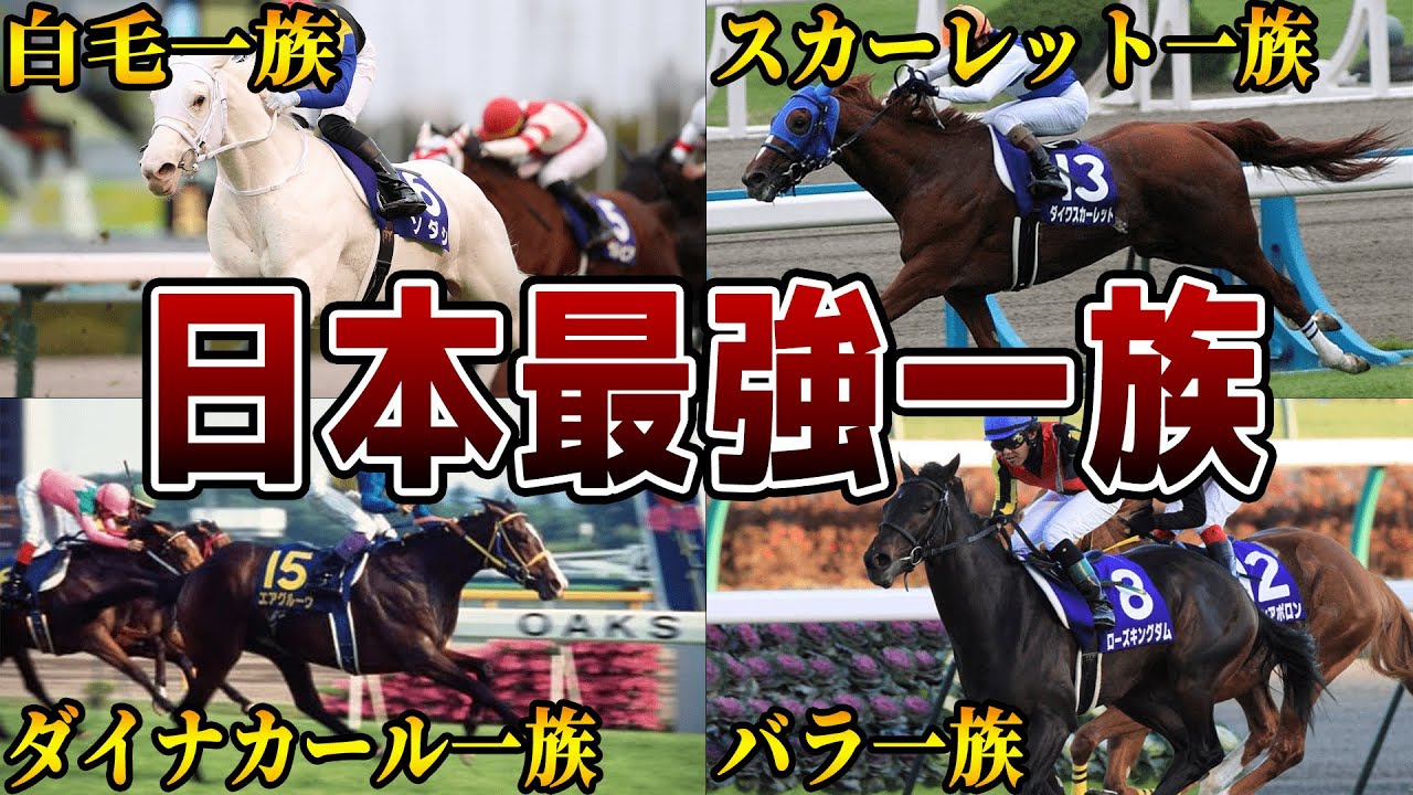 1768817461_maxresdefault-7951907-3233661-jpg