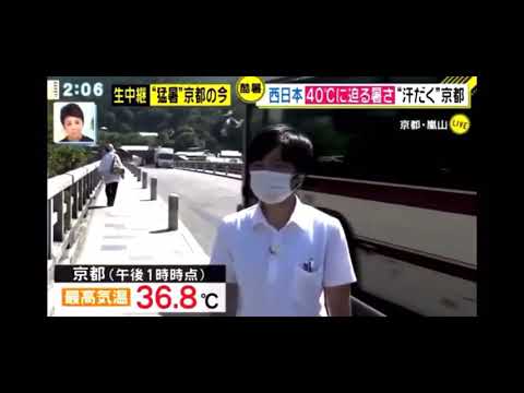 1768898459_hqdefault-5737610-1455404-jpg