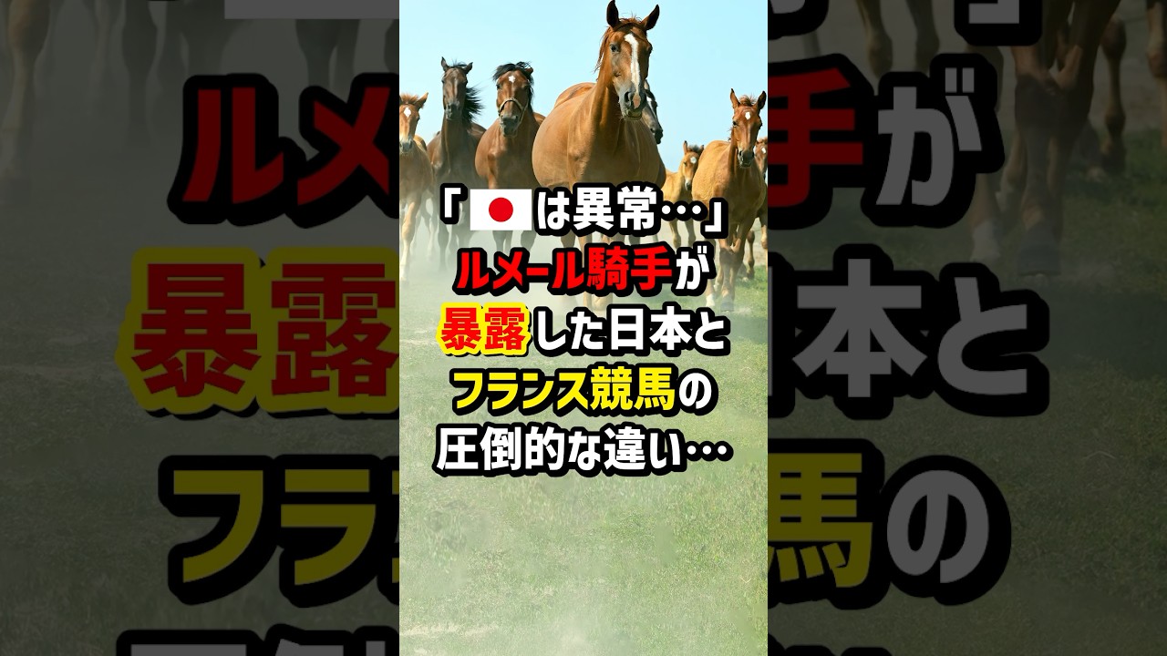 1768976396_maxresdefault-2122498-6431573-jpg