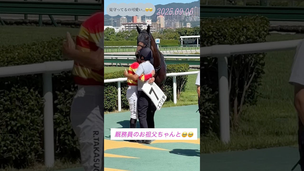 1769062907_maxresdefault-8037610-4281760-jpg