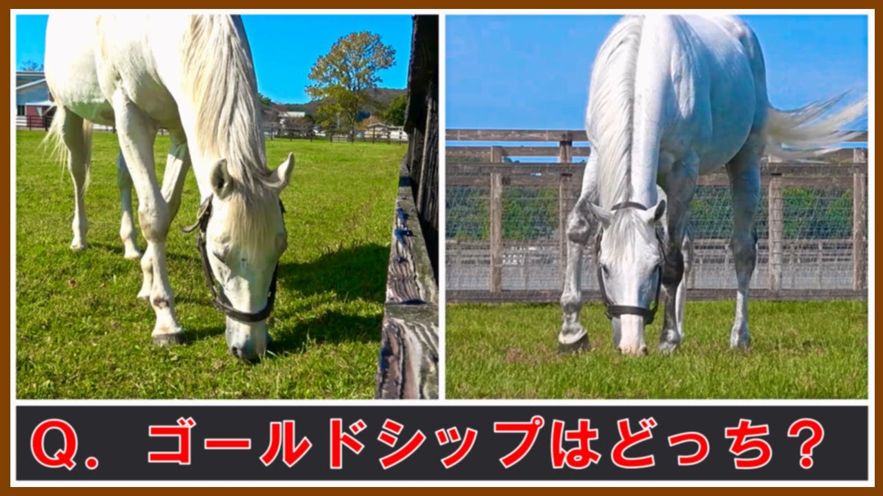 1769625652_maxresdefault-4018851-5066979-jpg