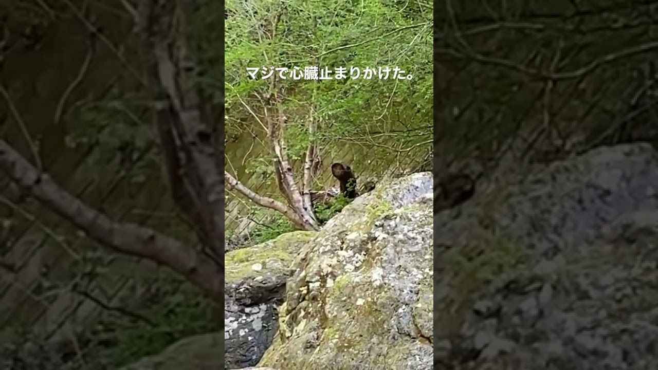 1769764309_maxresdefault-6032359-3684710-jpg